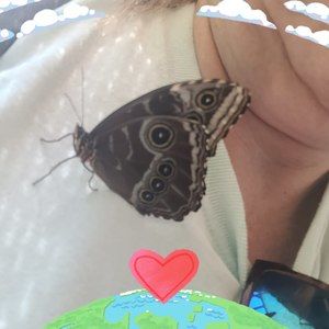 Meet your Posher, Renee